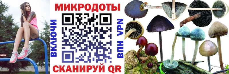 хочу наркоту  Полевской  darknet телеграм  Псилоцибиновые грибы прущие грибы 